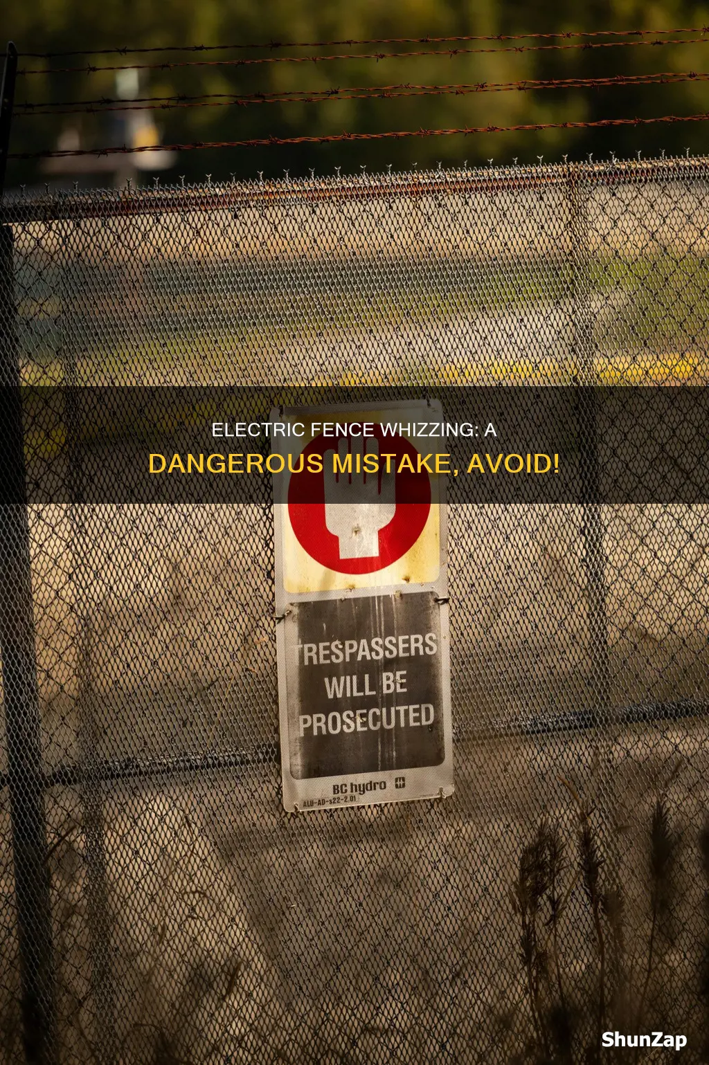 do not whizz on the electric fence