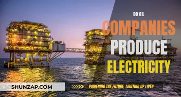 Oil Companies and Electricity Production: Any Connection?