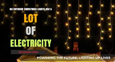 Outdoor Christmas Lights: Energy Usage and Cost Explained
