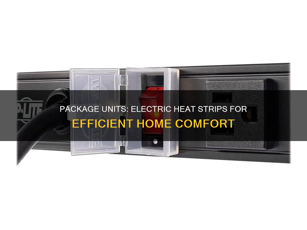 do package units have an electric strip