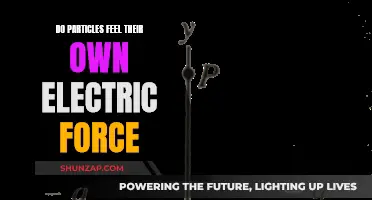 How Do Particles Experience Their Electric Force?
