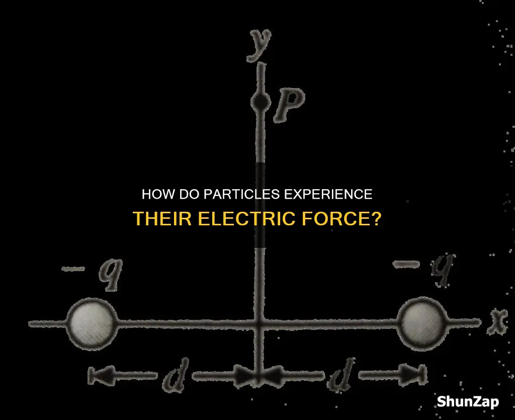 do particles feel their own electric force