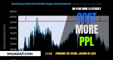 Understanding Dynamic Electricity Pricing During Peak Hours