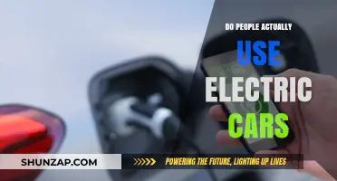 Are Electric Cars Really Popular? Exploring Real-World Usage Trends