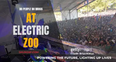 Electric Zoo: Drugs and Music Festival Culture