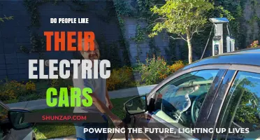 Electric Car Satisfaction: Do Owners Love Their Eco-Friendly Rides?