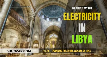 Electricity in Libya: Who Pays the Price?