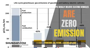 Electric Vehicles: Zero Emission or Misleading Marketing?