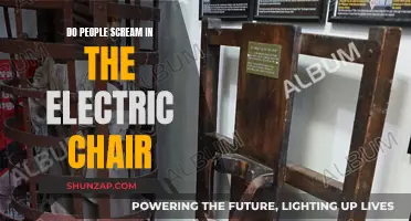 The Electric Chair's Agonizing Scream Mystery