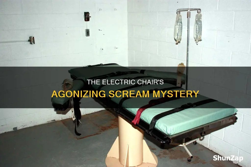 do people scream in the electric chair