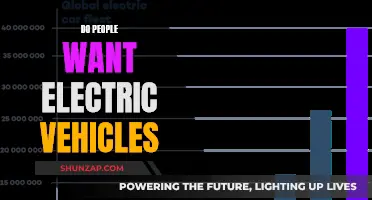 Electric Vehicles: What Do Consumers Really Want?