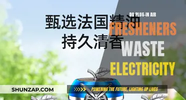 Air Fresheners: Energy Vampires or Efficient Scents?