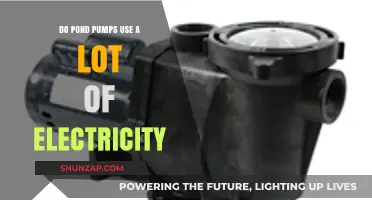 Pond Pump Power Consumption: How Much Electricity Do They Use?