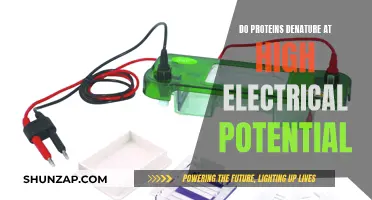 Proteins Under Electrical Stress: Denaturing Insights