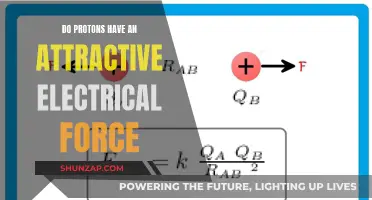 Protons' Electric Force: Attraction or Repulsion?