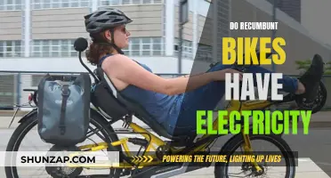 Recumbent Bikes: Electric or Manual?