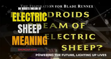 Electric Sheep: Do Androids Dream? Understanding AI Consciousness