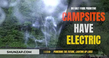 Electric Camping: Salt Fork Primitive Sites and Power Sources