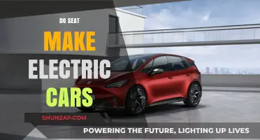 Does SEAT Produce Electric Vehicles? Exploring Their EV Lineup and Future Plans