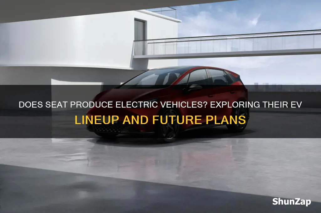 do seat make electric cars