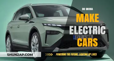 Are Skoda Electric Cars a Reality? Exploring Their EV Lineup
