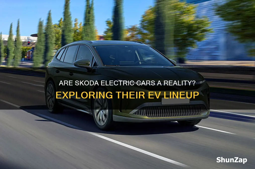 do skoda make electric cars