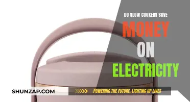 Slow Cookers: Energy Efficiency and Cost Savings