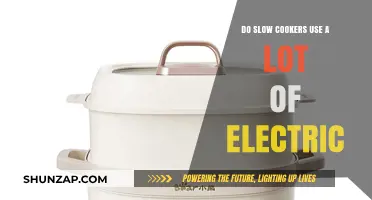Slow Cooker Energy Efficiency: Do They Consume Much Electricity?