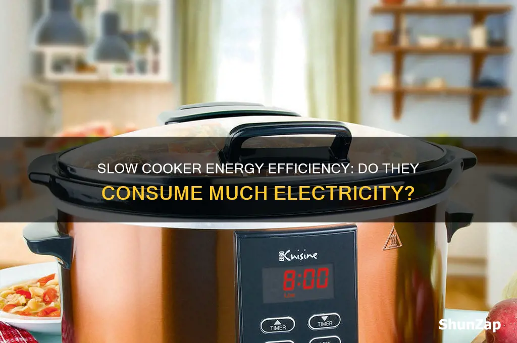 do slow cookers use a lot of electric