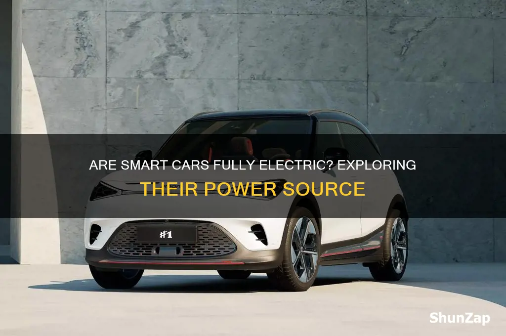do smart cars run entirely on electricity