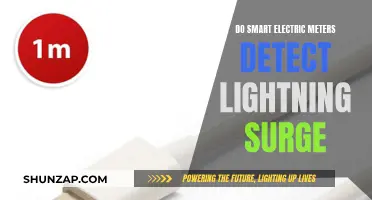 Smart Electric Meters: Lightning Surge Protectors?