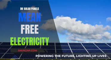 Solar Panels: Free Electricity or Costly Investment?