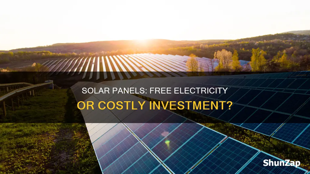 do solar panels mean free electricity