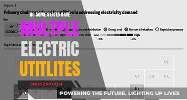 Electric Utilities: Multiple Providers, One State