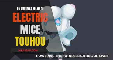 Squirrels' Electric Dreams: A Touhou Mystery Unveiled