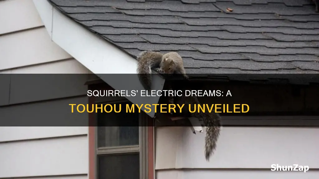 do squirrels dream of electric mice touhou