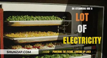 Steamers and Electricity: Uncovering Their Energy Consumption and Efficiency