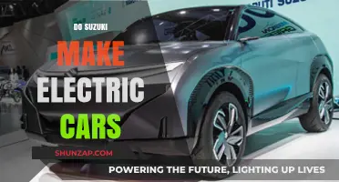 Are Suzuki's Electric Vehicles Revolutionizing the Auto Industry?