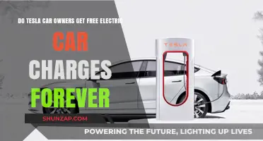 Do Tesla Owners Enjoy Lifetime Free Charging Privileges?