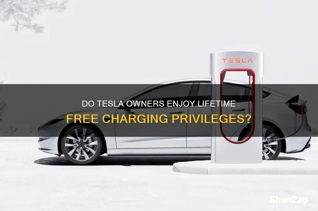 do tesla car owners get free electric car charges forever