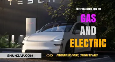 Tesla Cars: Gas-Free Electric Vehicles or Hybrid Models?
