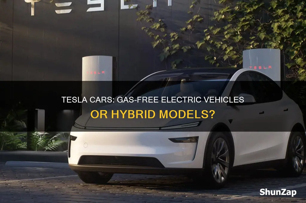 do tesla cars run on gas and electric