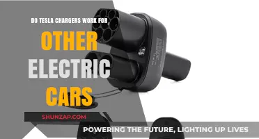 Can Other Electric Cars Use Tesla Chargers? Compatibility Explained