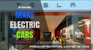 Beyond Electric Cars: Exploring Tesla's Diverse Product Portfolio