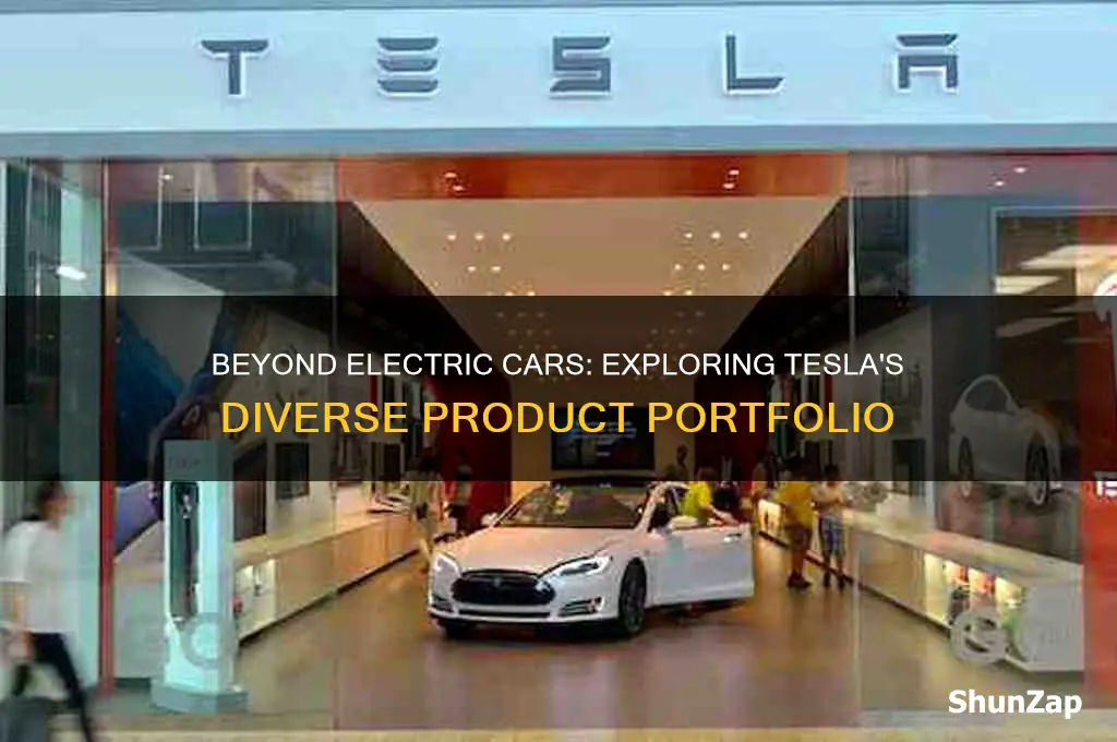 do tesla only make electric cars