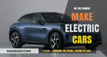 Are Chinese Electric Cars Dominating the Global Automotive Market?