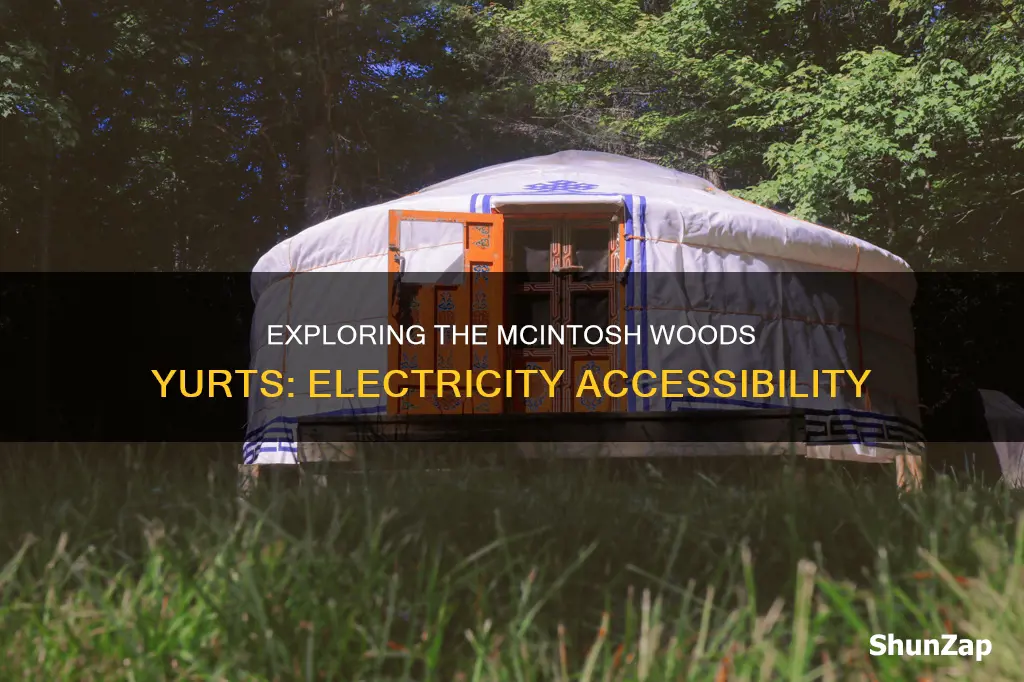 do the mcintosh woods yurts have electricity
