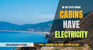 Electricity Access at Steep Ravine Cabins: Yes or No?