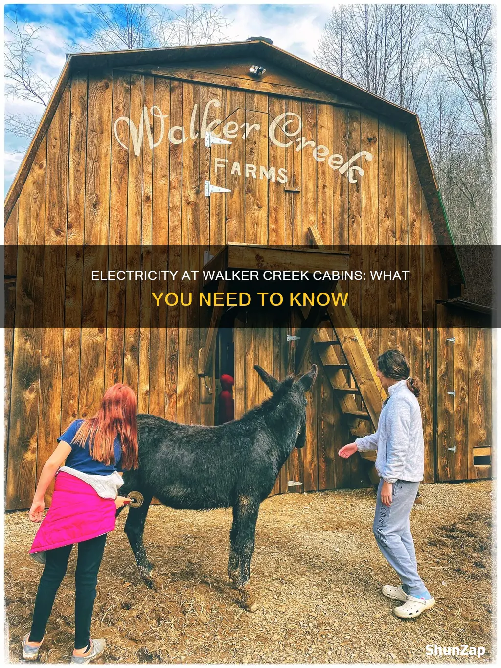 do the walker creek cabins have electricity