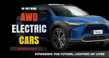 Are AWD Electric Cars the Future of Sustainable Driving?